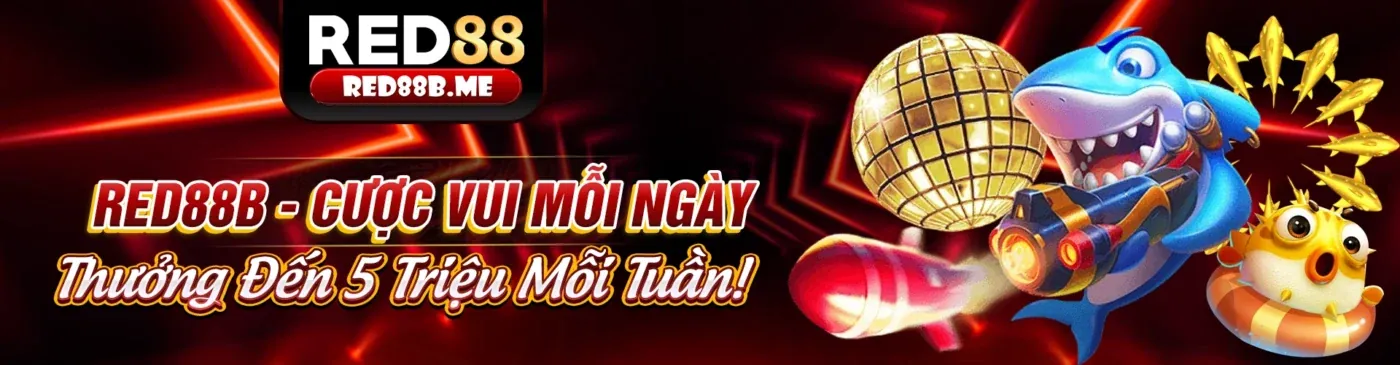 Hình ảnh cá cược thể thao tại 333win3 nhà cái